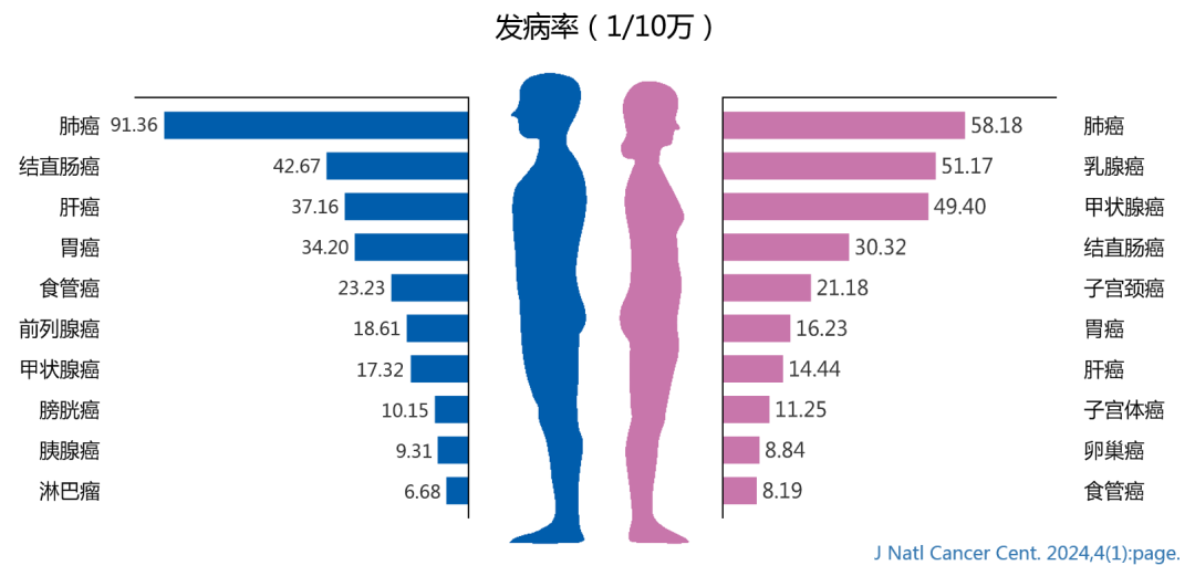 1709083391210491.png 3.png